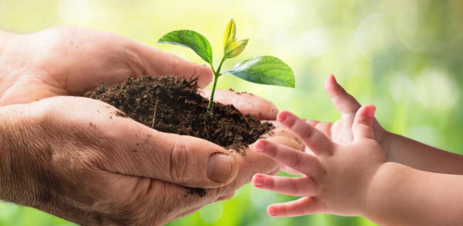 Pidämme huolta ympäristöstämme ja kehitämme hiilivapaata valokuitua