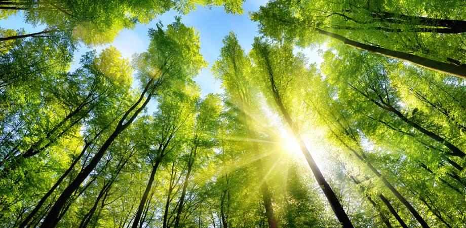 Lounean vastuullisuus