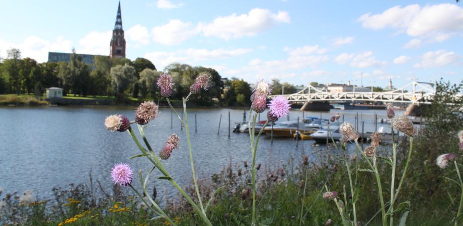 Lounea Valokuitu Pori